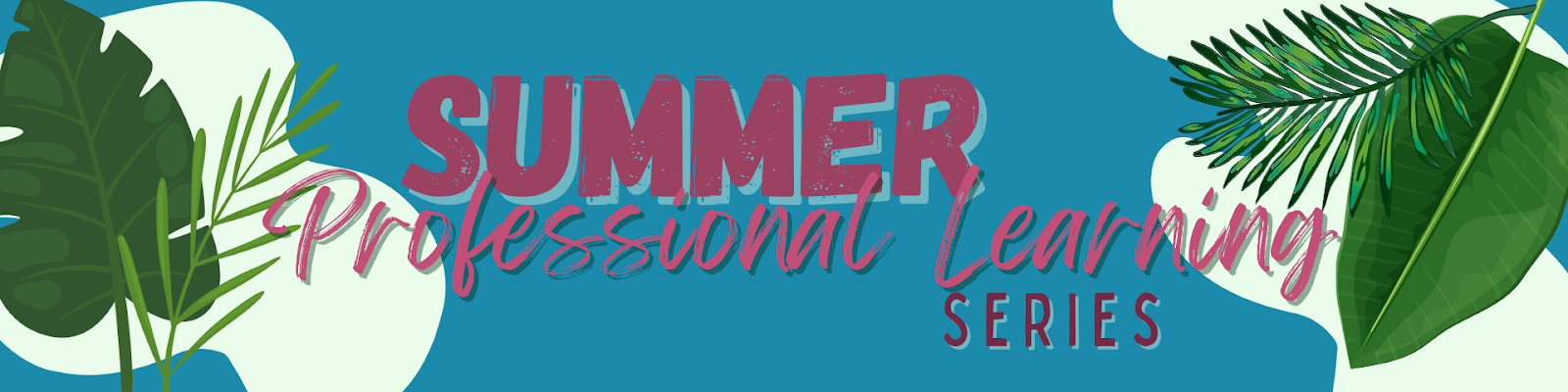  Summer Professional Learning Series catalog header